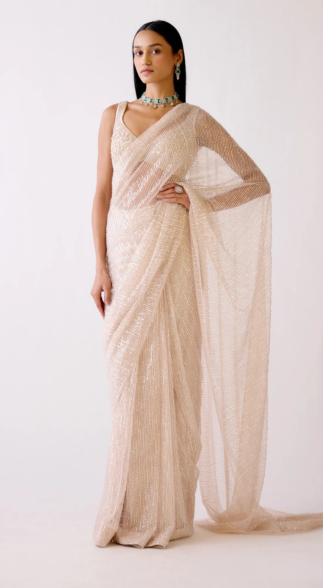 THE STARDUST SAREE