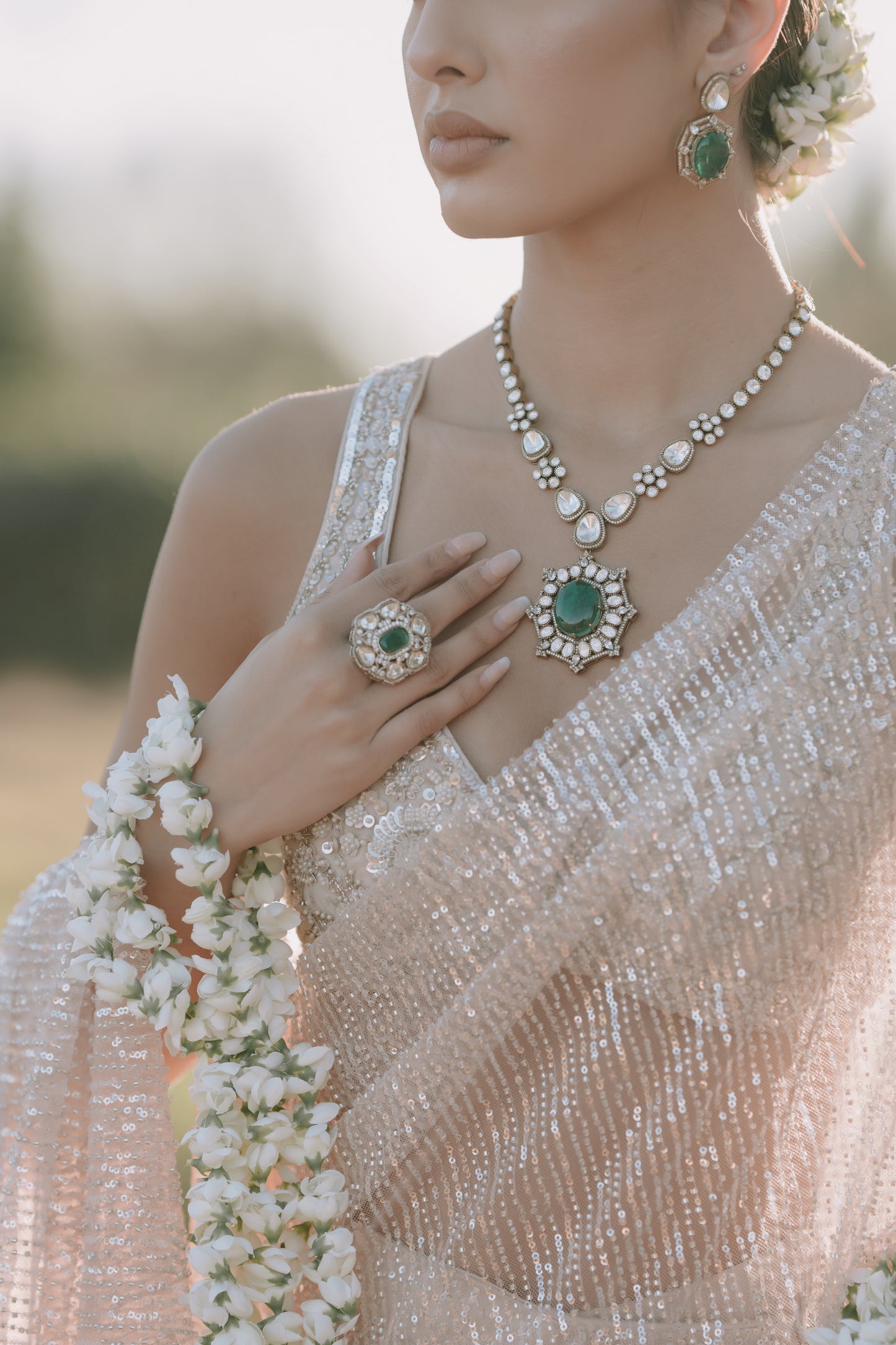 The Stardust Saree