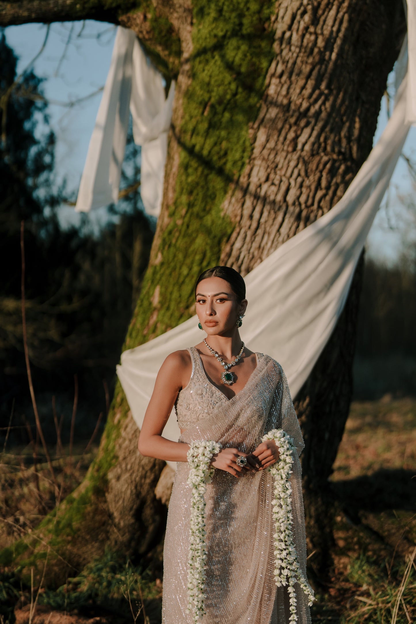 The Stardust Saree