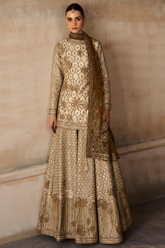 Ethnic suit wear